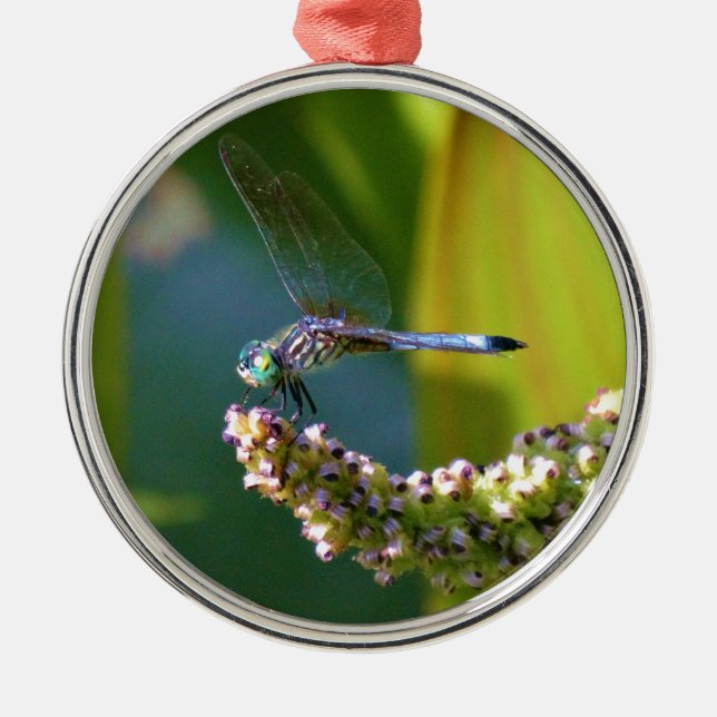 Teal eyed Dragonfly Metal Tree Decoration (Front)