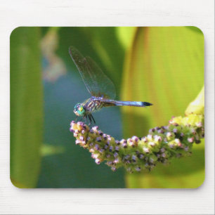 Teal eyed Dragonfly Mouse Mat