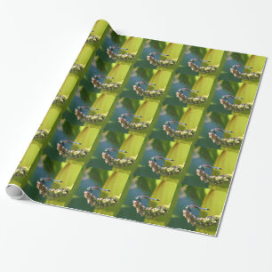 Teal eyed Dragonfly Wrapping Paper