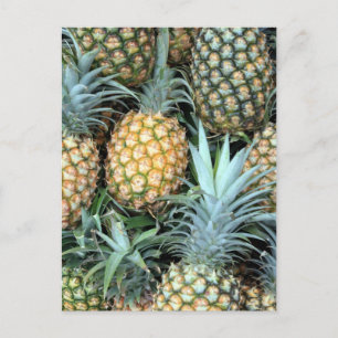 Teal, Green and Golden Hawaiian Pineapples Postcard