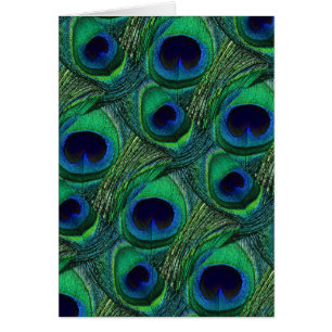 Teal Green Blue Peacock Feather Print / Pattern
