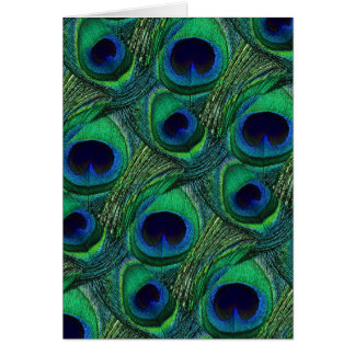 Teal Green Blue Peacock Feather Print / Pattern