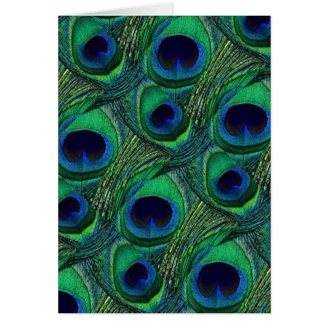 Teal Green Blue Peacock Feather Print / Pattern (Front)