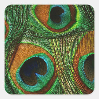 Teal Green Blue Peacock Feather Stickers / Seals