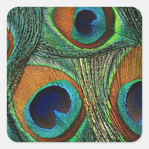 Teal Green Blue Peacock Feather Stickers / Seals