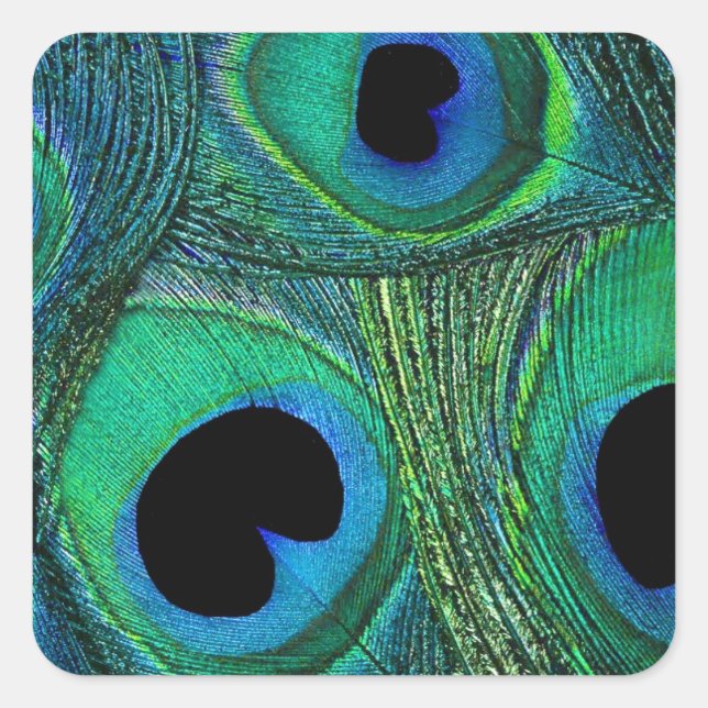 Teal Green Blue Peacock Feather Stickers / Seals (Front)