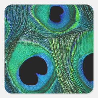 Teal Green Blue Peacock Feather Stickers / Seals