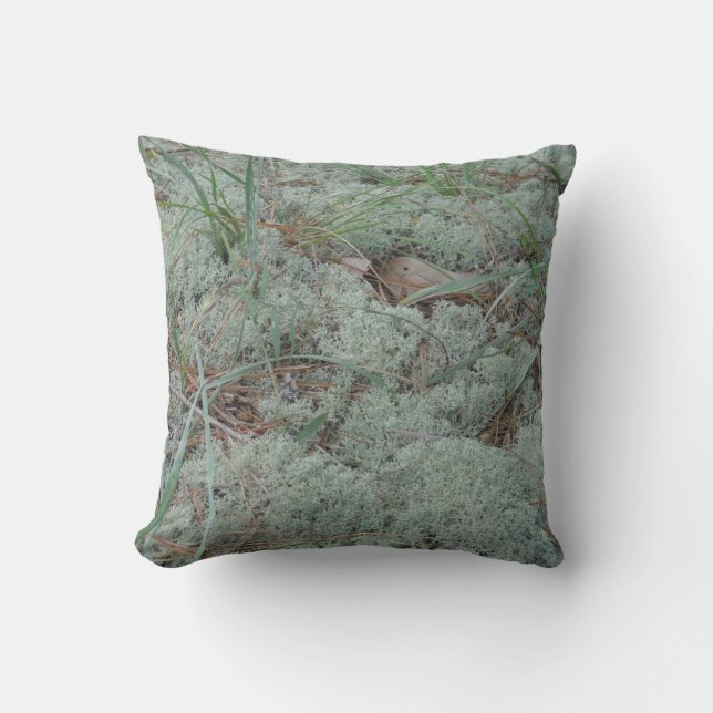 teal green grey lichen abstract pattern pillow (Front)