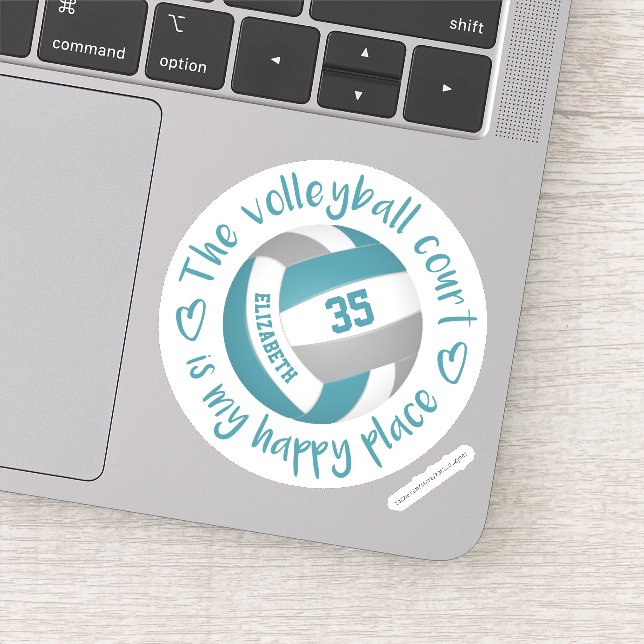 teal grey volleyball court my happy place (Detail)