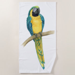 Teal Macaw Beach Towel