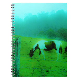Teal mist Reto coloured painted pony Horse Notebook