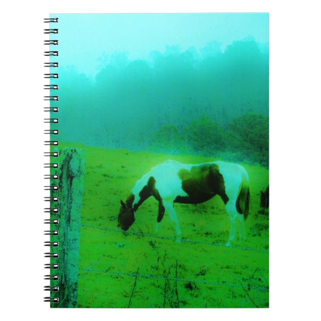 Teal mist Reto coloured painted pony Horse Notebook (Front)
