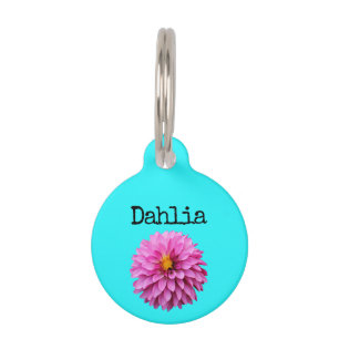 Teal Pink Purple Dahlia Pet Tag