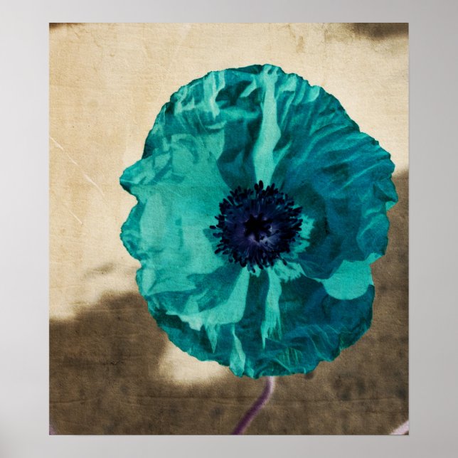Teal Poppy Poster (Front)