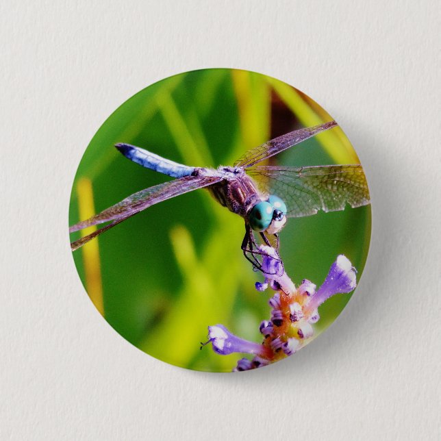 Teal & purple Dragonfly 6 Cm Round Badge (Front)