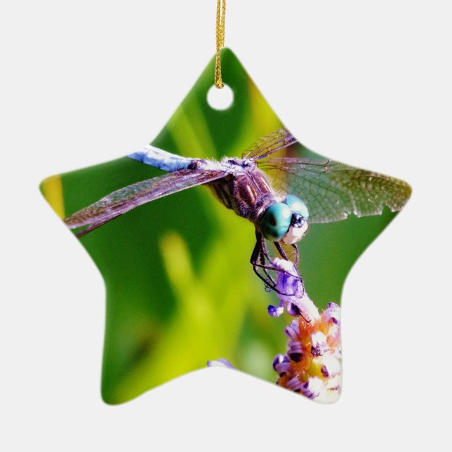 Teal & purple Dragonfly Ceramic Tree Decoration (Front)