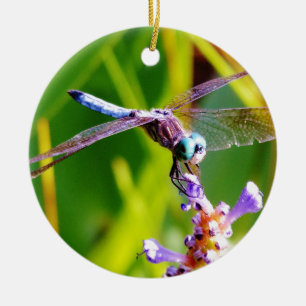 Teal & purple Dragonfly Ceramic Tree Decoration
