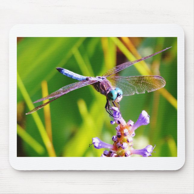 Teal & purple Dragonfly Mouse Mat (Front)