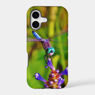 Teal Rainbow Dragonfly