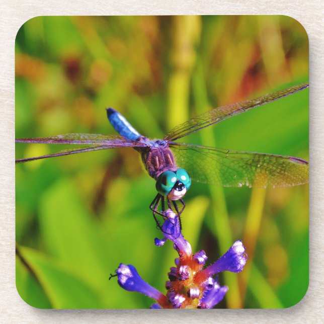 Teal Rainbow Dragonfly Coaster (Front)
