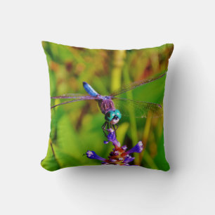 Teal Rainbow Dragonfly Cushion