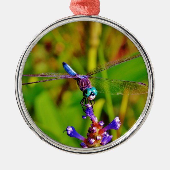 Teal Rainbow Dragonfly Metal Tree Decoration (Front)