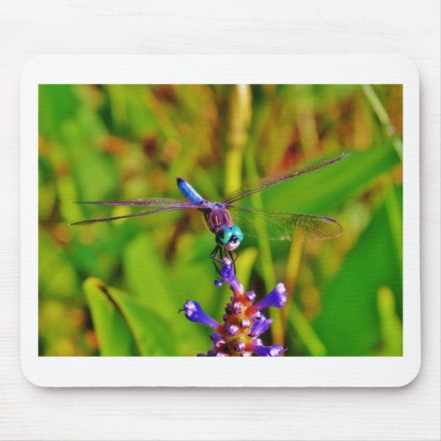 Teal Rainbow Dragonfly Mouse Mat (Front)