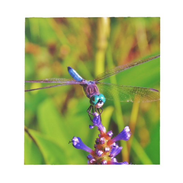 Teal Rainbow Dragonfly Notepad (Front)