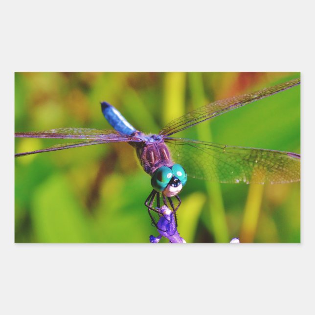 Teal Rainbow Dragonfly Rectangular Sticker (Front)