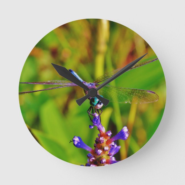 Teal Rainbow Dragonfly Round Clock (Front)