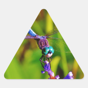 Teal Rainbow Dragonfly Triangle Sticker