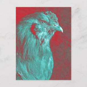 Teal Rooster Postcard