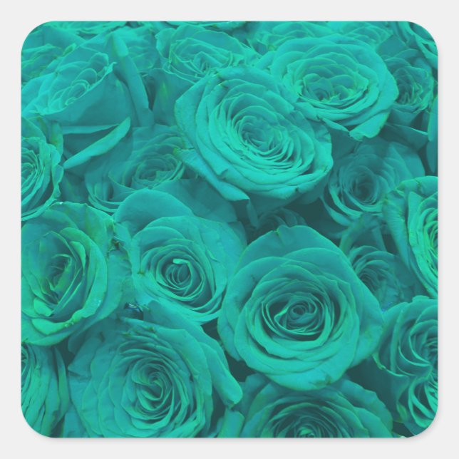 teal roses square sticker (Front)