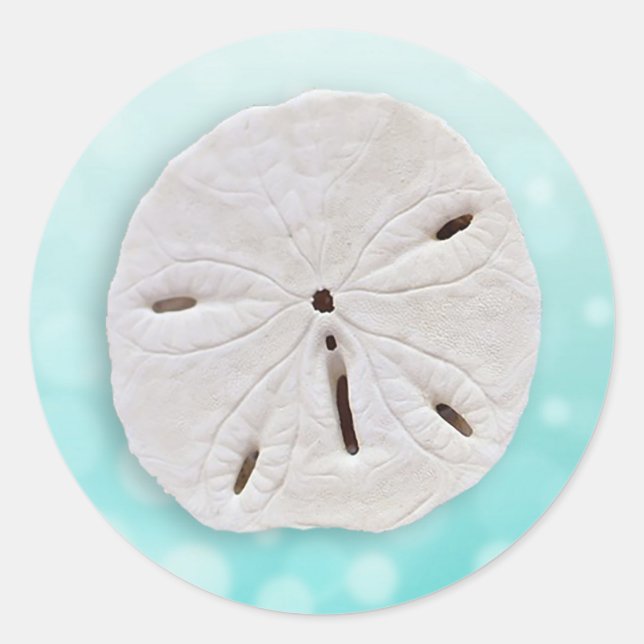 Teal Sand dollar wedding Sticker (Front)