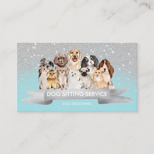 Teal Silver Cute Sparkle Petsitter Dog Walker Business Card (Front)