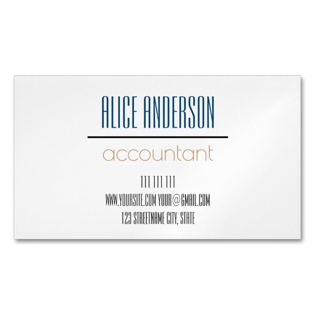 Teal simple geometric modern accountant business 	Magnetic business card (Front)