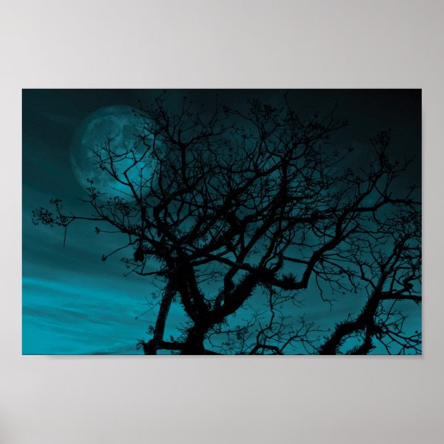 Teal Sky and Bare branches Poster (Front)