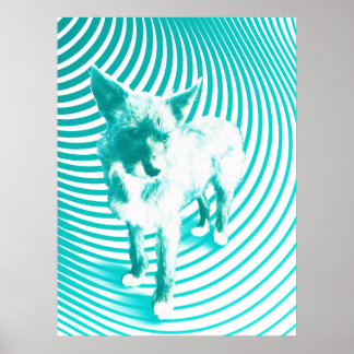 teal terrier poster