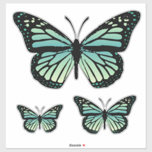 Teal Turquoise Butterfly