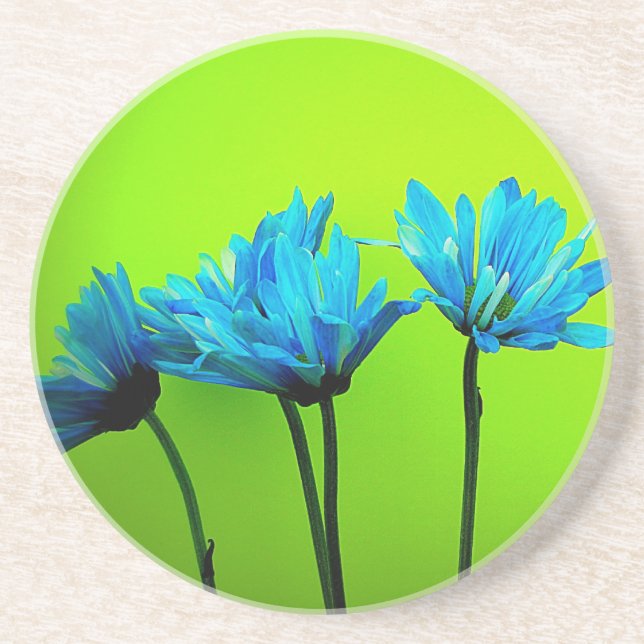 Teal Turquoise Daisies on Lime Green Flowers Gifts Coaster (Front)