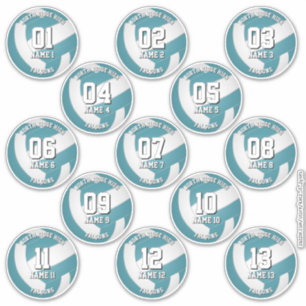teal volleyball club colors stickers 13 athletes