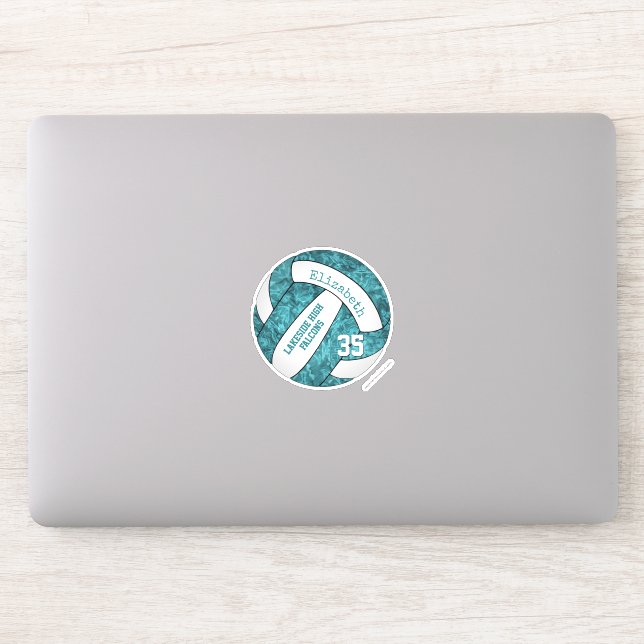 teal white girly volleyball team colours (Computer)