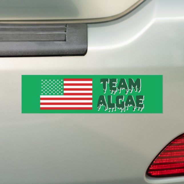 Team Algae Reflecting Pool Funny Anti-Trump Bumper Sticker (On Car)