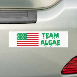 Team Algae Reflecting Pool Funny Anti-Trump Bumper Sticker