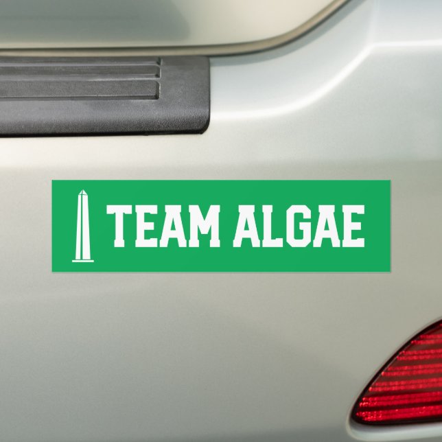 Team Algae Reflecting Pool Funny Anti-Trump Bumper Sticker (On Car)