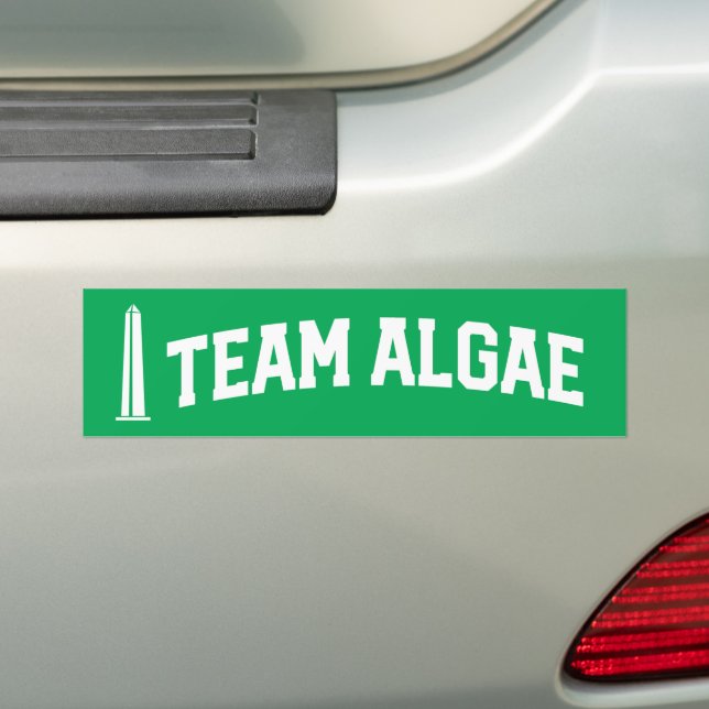 Team Algae Reflecting Pool Funny Anti-Trump Bumper Sticker (On Car)