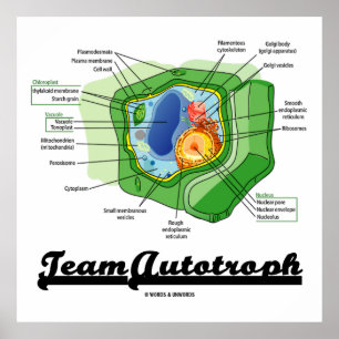 Team Autotroph (Plant Cell Biology) Poster