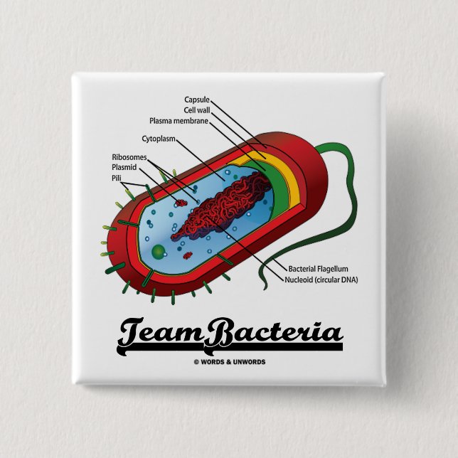 Team Bacteria (Prokaryote) 15 Cm Square Badge (Front)