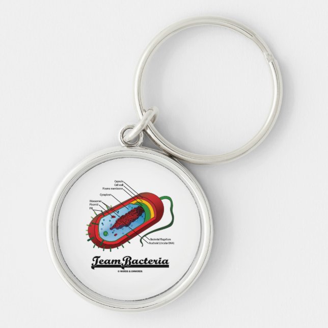 Team Bacteria (Prokaryote) Key Ring (Front)