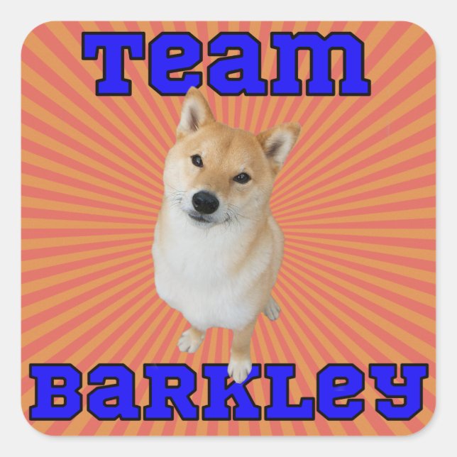 Team Barkley - Square Stickers, Glossy Square Sticker (Front)